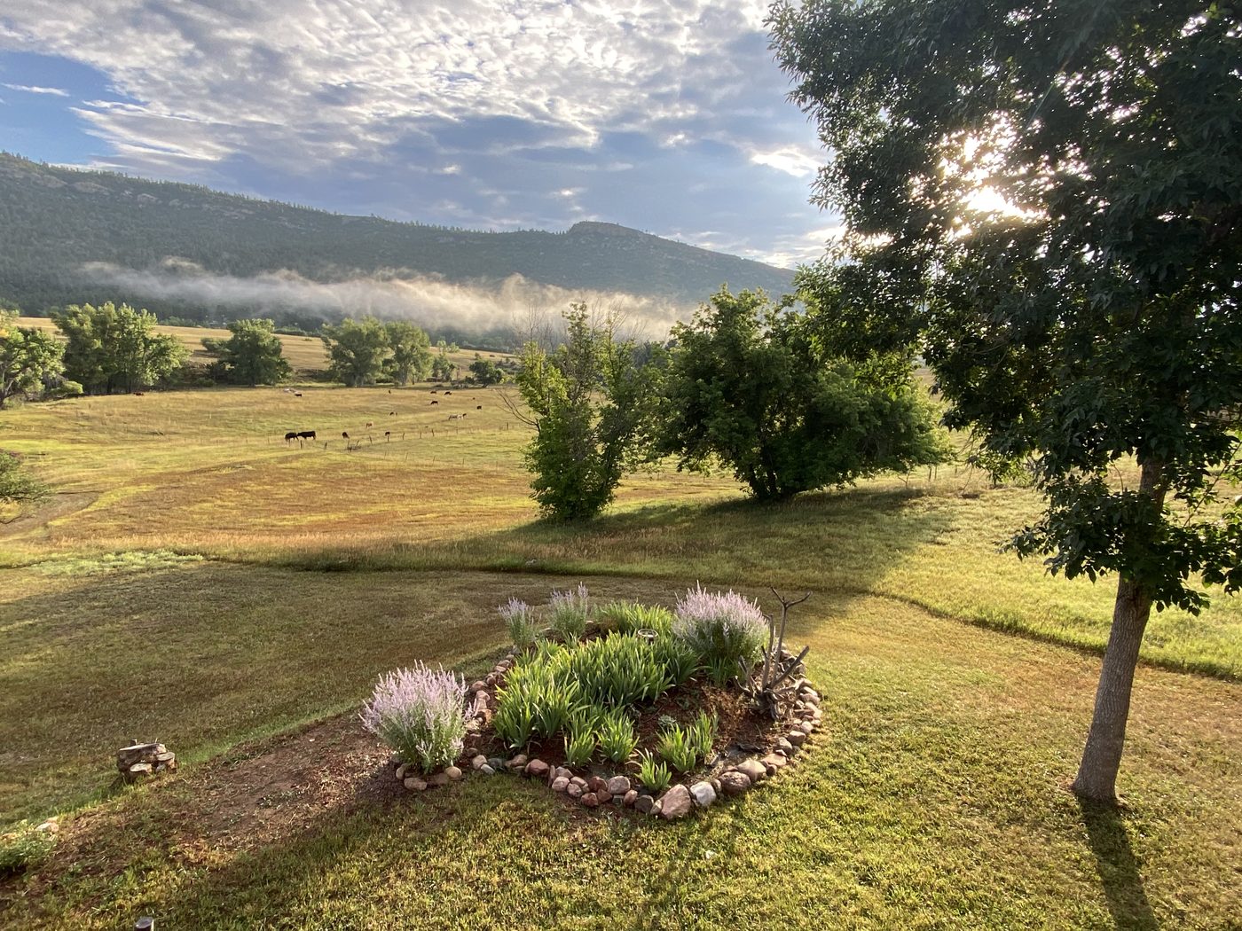 View from Polly's home in Beulah, Colorado